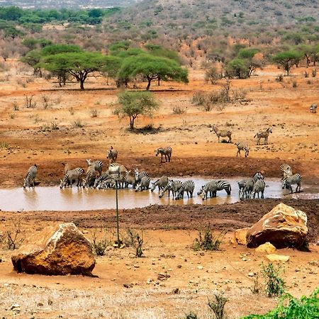 Kilaguni Serena Safari Lodge Tsavo Exterior photo