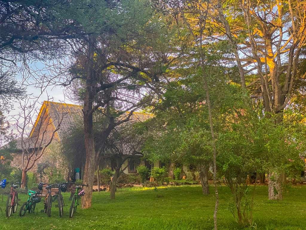 Kilaguni Serena Safari Lodge Tsavo Facilities photo